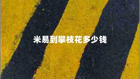 米易到攀枝花多少錢(qián)