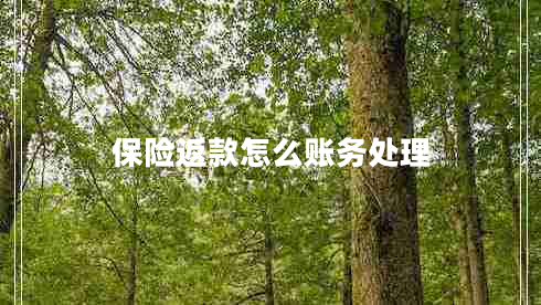 保險(xiǎn)返款怎么賬務(wù)處理