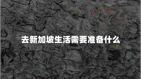 去新加坡生活需要準(zhǔn)備什么 去新加坡生活需要準(zhǔn)備什么