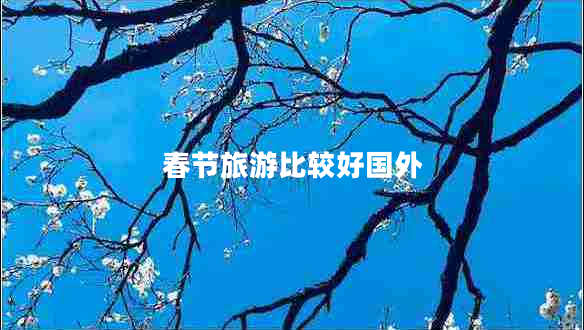 春節(jié)旅游比較好國外 春節(jié)旅游比較好國外