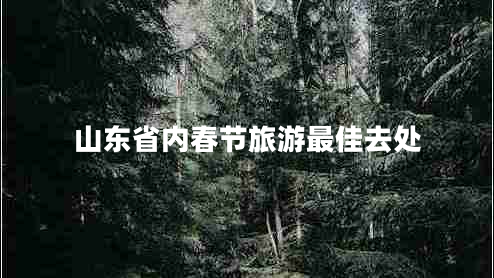 山東省內(nèi)春節(jié)旅游最佳去處 山東省內(nèi)春節(jié)旅游最佳去處