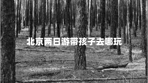 北京兩日游帶孩子去哪玩 北京兩日游帶孩子去哪玩