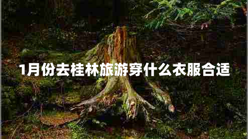 1月份去桂林旅游穿什么衣服合適 1月份去桂林旅游穿什么衣服合適