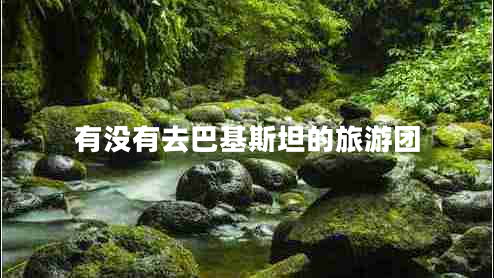 有沒有去巴基斯坦的旅游團(tuán)