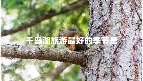 千島湖旅游最好的季節(jié)是 千島湖旅游最好的季節(jié)是