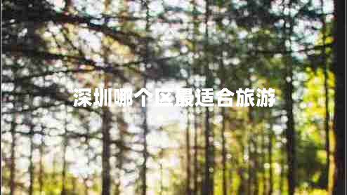 深圳哪個區(qū)最適合旅游 深圳哪個區(qū)最適合旅游