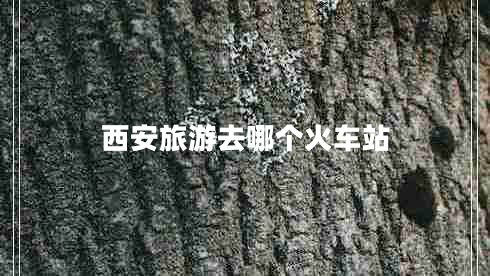 西安旅游去哪個火車站 西安旅游去哪個火車站