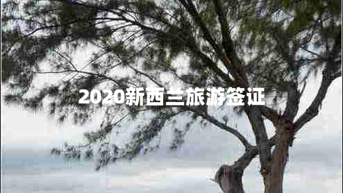 2020新西蘭旅游簽證 2020新西蘭旅游簽證