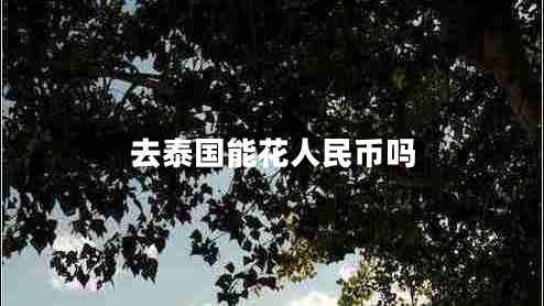 去泰國(guó)能花人民幣嗎 去泰國(guó)能花人民幣嗎