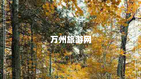 萬(wàn)州旅游網(wǎng) 萬(wàn)州旅游網(wǎng)