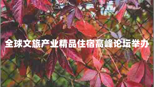 全球文旅產(chǎn)業(yè)精品住宿高峰論壇舉辦