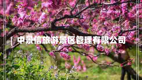中景信旅游景區(qū)管理有限公司 中景信旅游景區(qū)管理有限公司