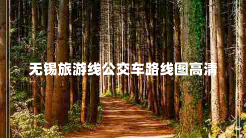 無錫旅游線公交車路線圖高清 無錫旅游線公交車路線圖高清