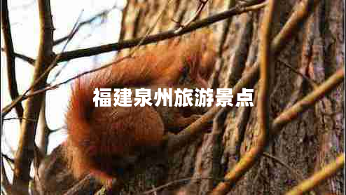 福建泉州旅游景點