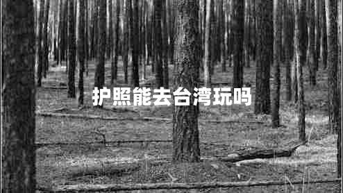 護(hù)照能去臺(tái)灣玩嗎 護(hù)照能去臺(tái)灣玩嗎