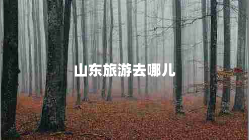 山東旅游去哪兒 山東旅游去哪兒