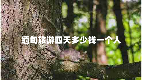 緬甸旅游四天多少錢一個(gè)人 緬甸旅游四天多少錢一個(gè)人