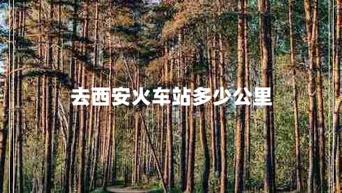 去西安火車站多少公里 去西安火車站多少公里