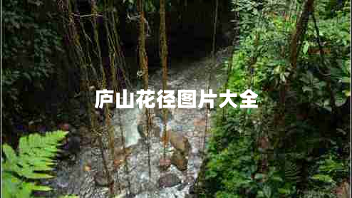 廬山花徑圖片大全 廬山花徑圖片大全