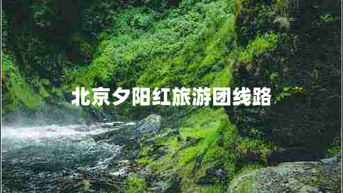 北京夕陽紅旅游團(tuán)線路