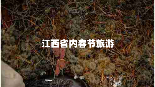 江西省內(nèi)春節(jié)旅游 江西省內(nèi)春節(jié)旅游