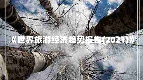 《世界旅游經(jīng)濟(jì)趨勢報告(2021)》
