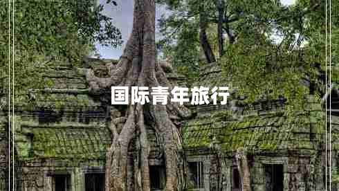 國際青年旅行