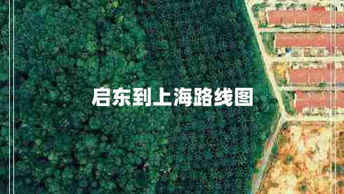 啟東到上海路線圖