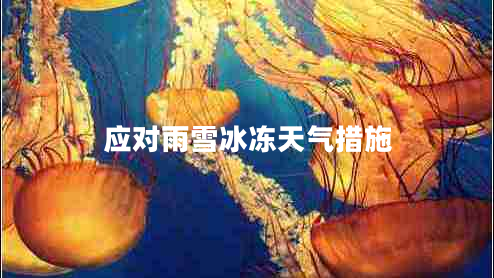 應(yīng)對雨雪冰凍天氣措施