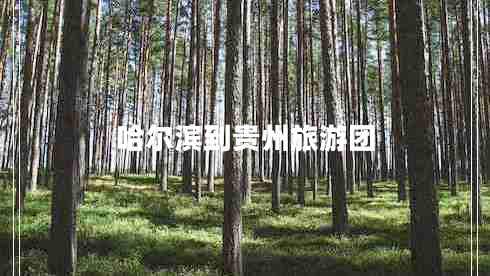 哈爾濱到貴州旅游團 哈爾濱到貴州旅游團