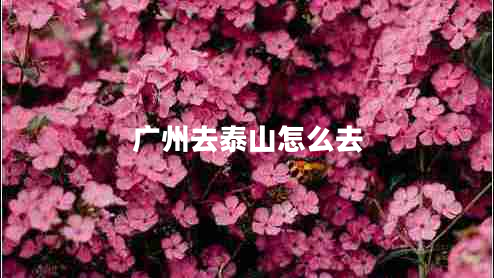 廣州去泰山怎么去