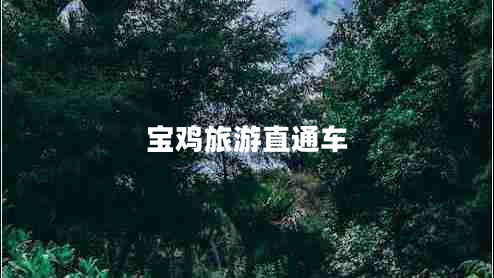 寶雞旅游直通車 寶雞旅游直通車