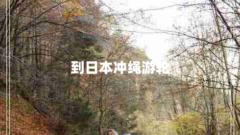 到日本沖繩游輪 到日本沖繩游輪