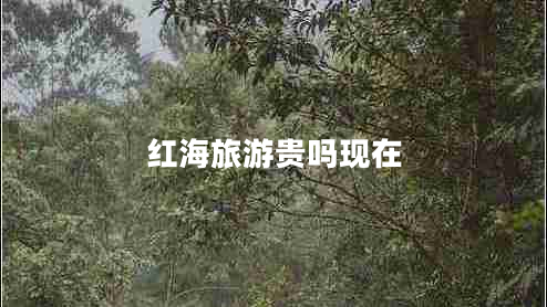 紅海旅游貴嗎現(xiàn)在 紅海旅游貴嗎現(xiàn)在