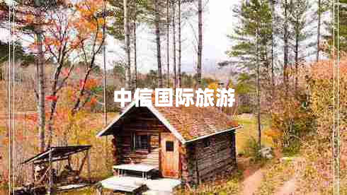 中信國際旅游 中信國際旅游