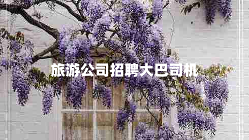 旅游公司招聘大巴司機(jī) 旅游公司招聘大巴司機(jī)