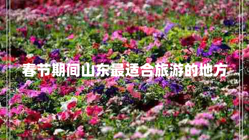 春節(jié)期間山東最適合旅游的地方 春節(jié)期間山東最適合旅游的地方