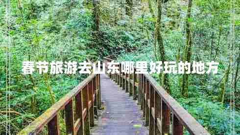 春節(jié)旅游去山東哪里好玩的地方