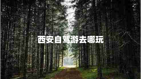 西安自駕游去哪玩 西安自駕游去哪玩