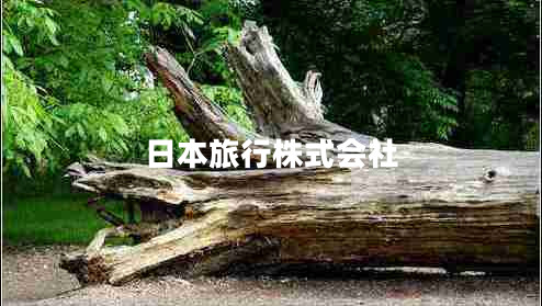 日本旅行株式會社 日本旅行株式會社