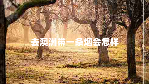 去澳洲帶一條煙會(huì)怎樣 去澳洲帶一條煙會(huì)怎樣