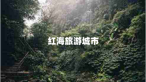 紅海旅游城市 紅海旅游城市