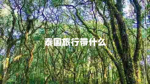 泰國旅行帶什么 泰國旅行帶什么