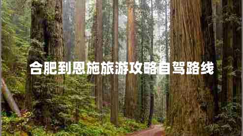 合肥到恩施旅游攻略自駕路線 合肥到恩施旅游攻略自駕路線