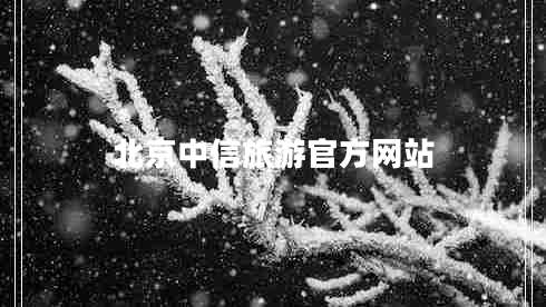 北京中信旅游官方網(wǎng)站 北京中信旅游官方網(wǎng)站