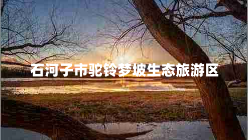 石河子市駝鈴夢坡生態(tài)旅游區(qū) 石河子市駝鈴夢坡生態(tài)旅游區(qū)