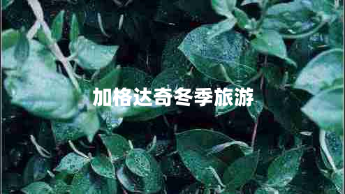 加格達奇冬季旅游
