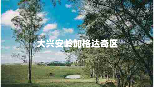 大興安嶺加格達(dá)奇區(qū)