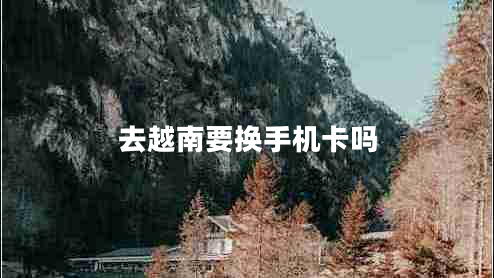 去越南要換手機(jī)卡嗎 去越南要換手機(jī)卡嗎