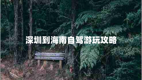 深圳到海南自駕游玩攻略